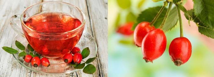 Csipkebogyó tea a hemoglobin fokozása érdekében