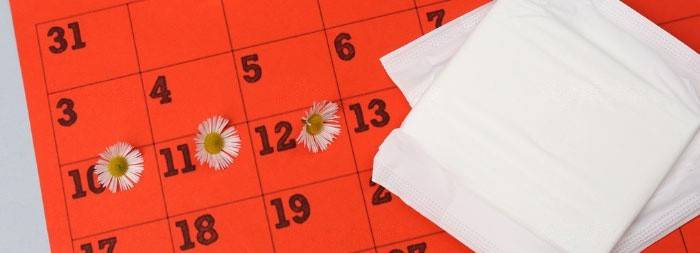 Menstruação repetida