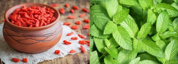 Fitoterapia normaliza o metabolismo e melhora o apetite