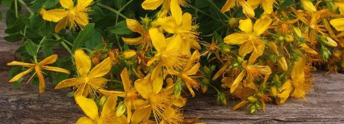 Hypericum de la arderea esofagului
