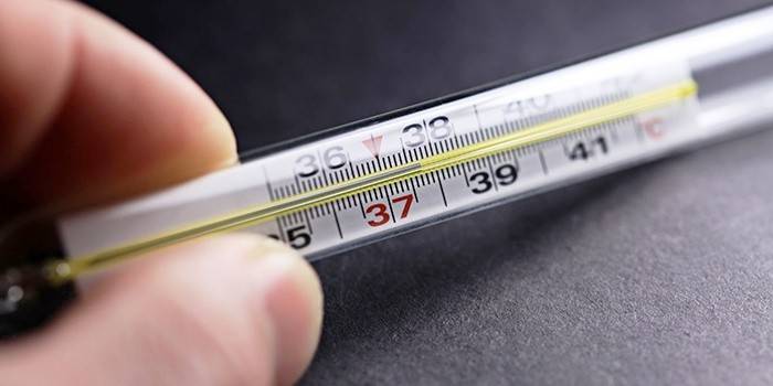 Žemos temperatūros termometras