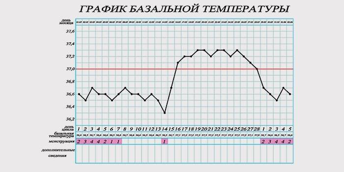 Diagrama temperaturii bazale pentru determinarea sarcinii