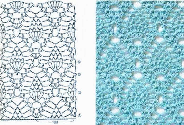 Motifs De Crochet De Coquille