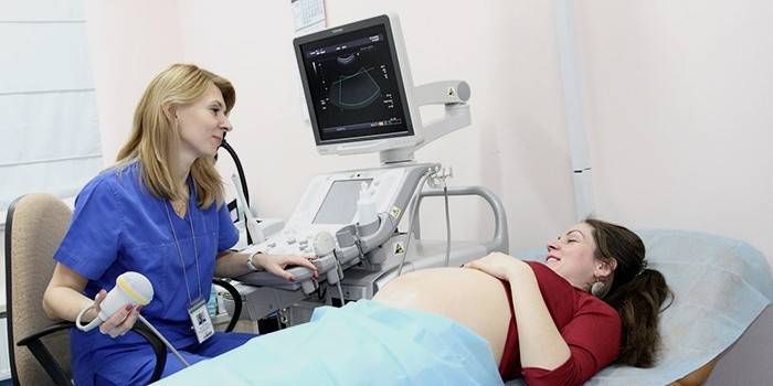 Fetal Examination