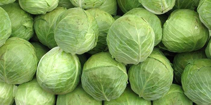 Jaunos kopūstų galvos