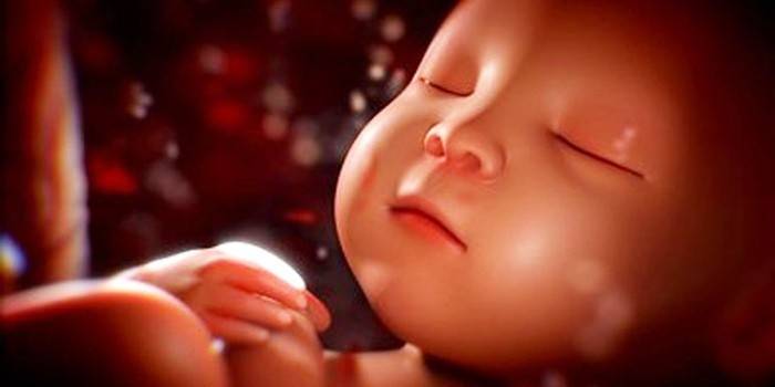 Photo of the fetus in the stomach