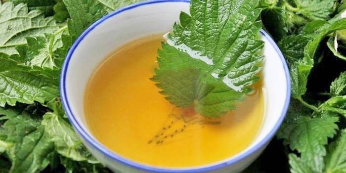 Bouillon d'ortie contre la chute des cheveux