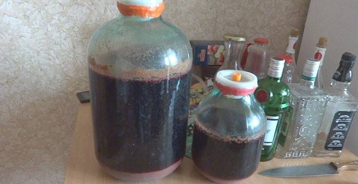 Misos fermentacija