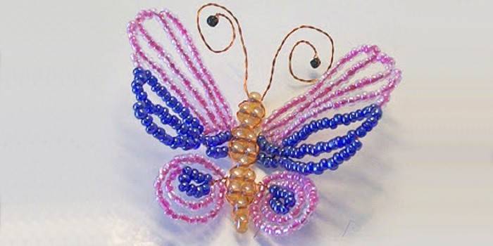 Mariposa lista