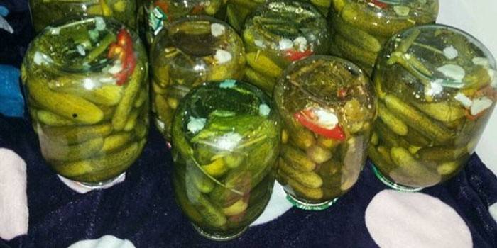 מלפפונים התגלגלו לחורף ללא עיקור