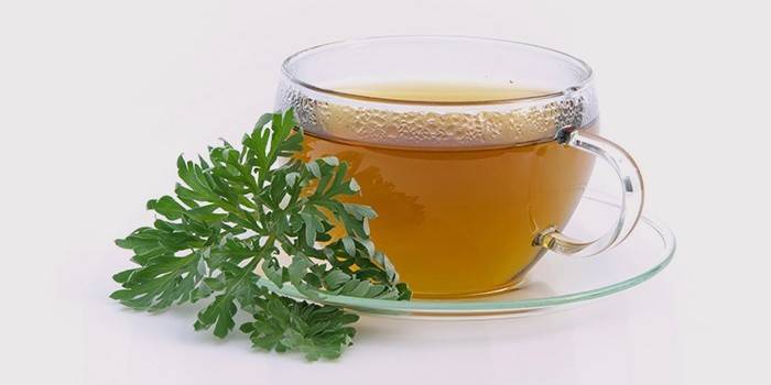 Caldo de absinto para a prevenção do aparecimento de vermes