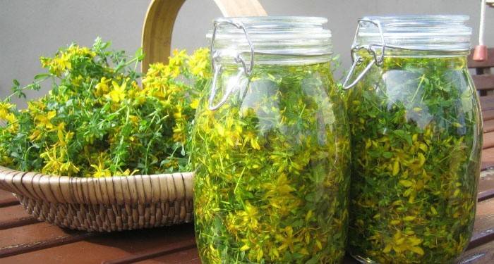 Infusione di iperico