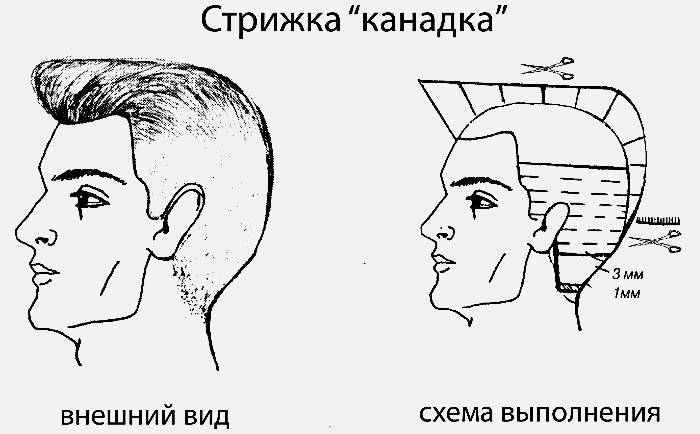 Како направити канадску фризуру