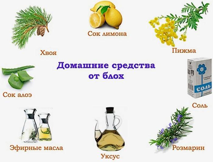 Namų gynimo priemonės