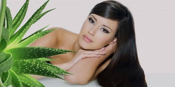 O cabelo da menina depois de máscaras com aloe