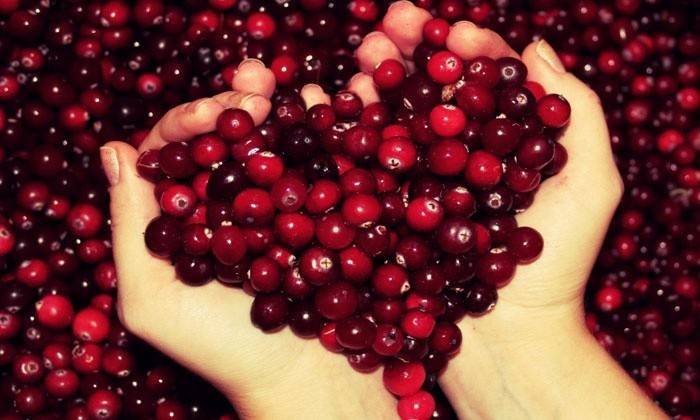 Bacche di mirtillo rosso utili nella psoriasi