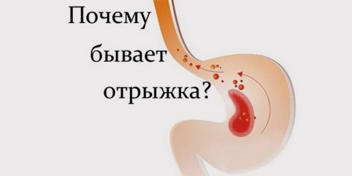 Folyamatok az emberi nyelőcsőben