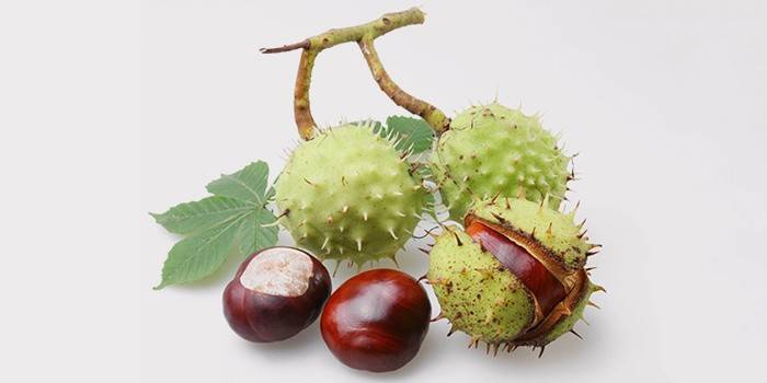 Castagne per tintura da prostatite