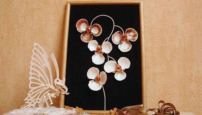 Fleurs d'orchidée en coquille