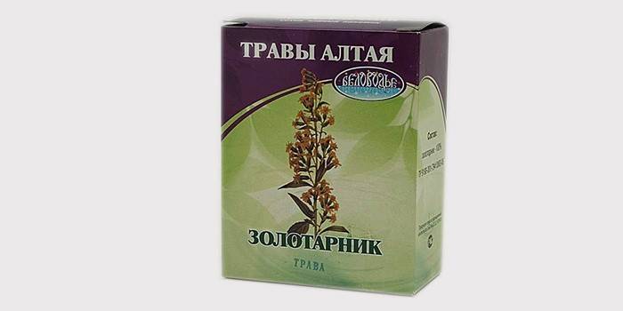 Goldenrod สำหรับการรักษา ureplasm ในผู้ชาย