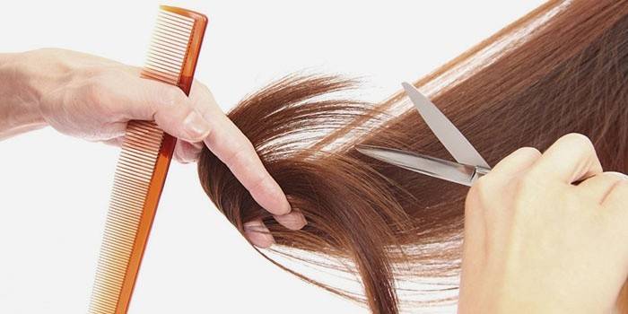Cắt tóc vào một ngày thuận lợi theo âm lịch