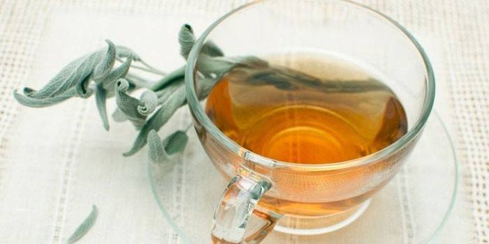 Sage-infuusio lopetuksen lopettamiseksi