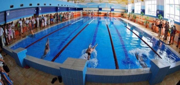 Bơi trong hồ bơi: thuốc chữa bách bệnh hoặc sở thích