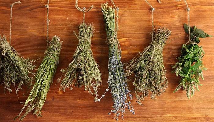 Bag filling herbs