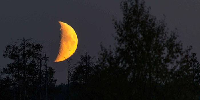 Cutting hair ends on a growing moon