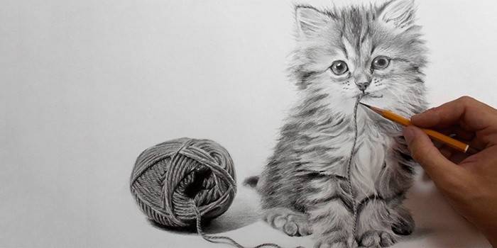 Crayon dessinant un chat