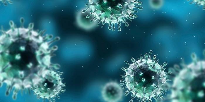 Papillomavirus umano