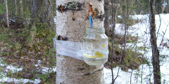 Come raccogliere il succo