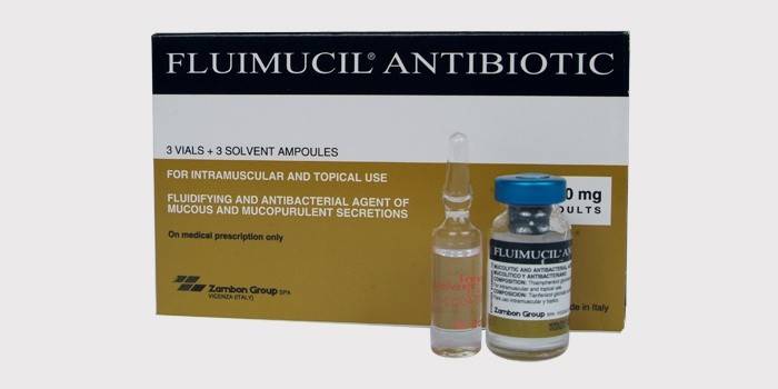 Soluzione per inalazione di Fluimucil