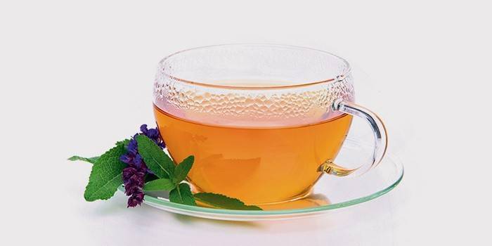 Infuzie de salvie