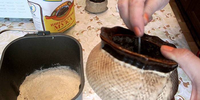 Processo di cottura