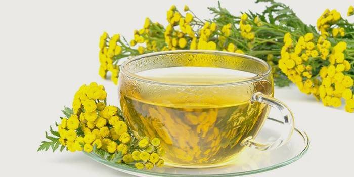 Tansy de gusanos