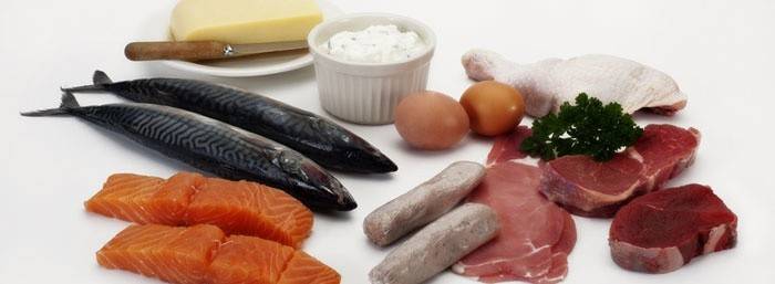 Protein Günü Diyet Ürünleri