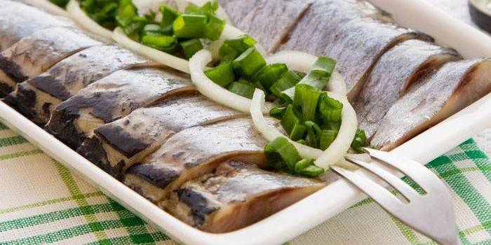 Gesalzenes Heringsrezept