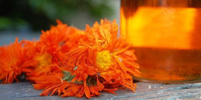 Bouillon de calendula