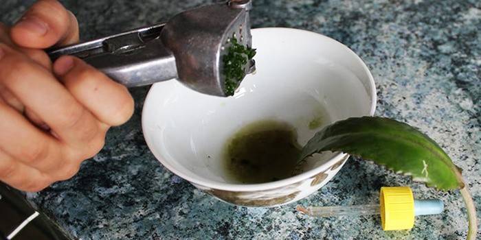 Kalanchoe-Saft zur Behandlung von Ekzemen an den Händen