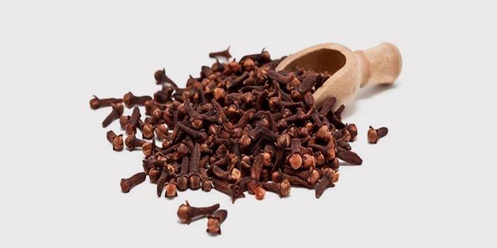 Tonsillit halk ilaçları tedavisi için karanfil infüzyon
