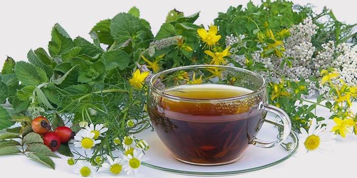 Piyelonefrit tedavisi için bitkisel kaynatma