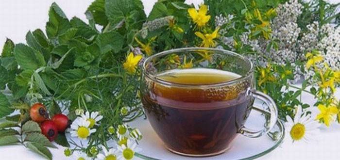 En vísperas de la ecografía, se recomienda tomar infusiones de hierbas.