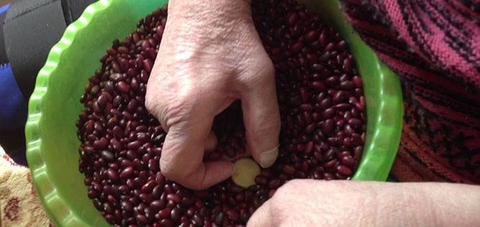 אישה מסתכלת, כדור של יד, בקערה, עם, beans