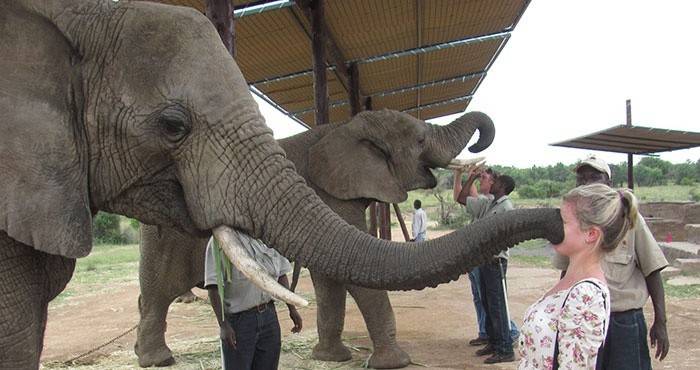 Menina no zoológico