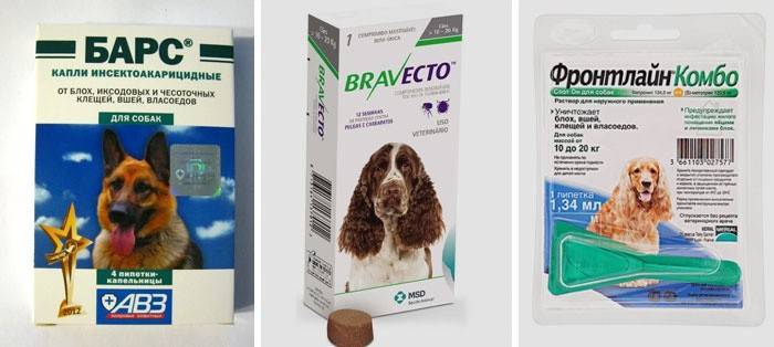 Repelente de insetos do cão