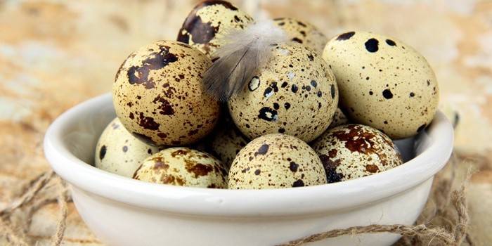 Huevos de codorniz