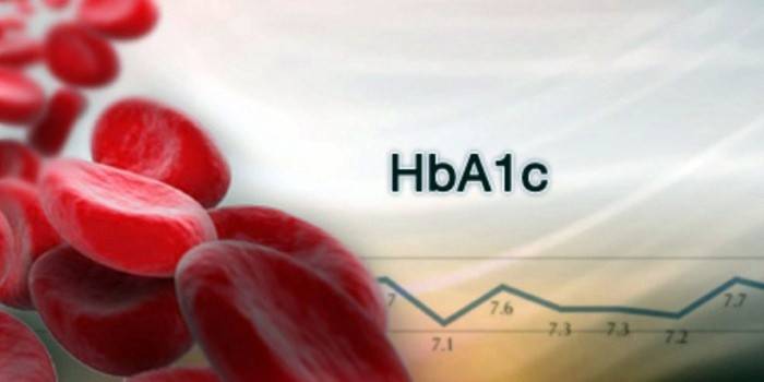 Hämoglobinspiegel im Blut