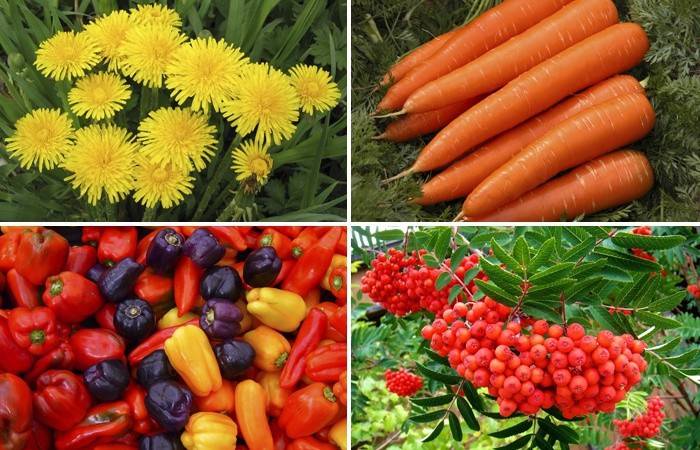 Contenuto di retinolo negli alimenti