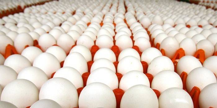 Huevos de gallina